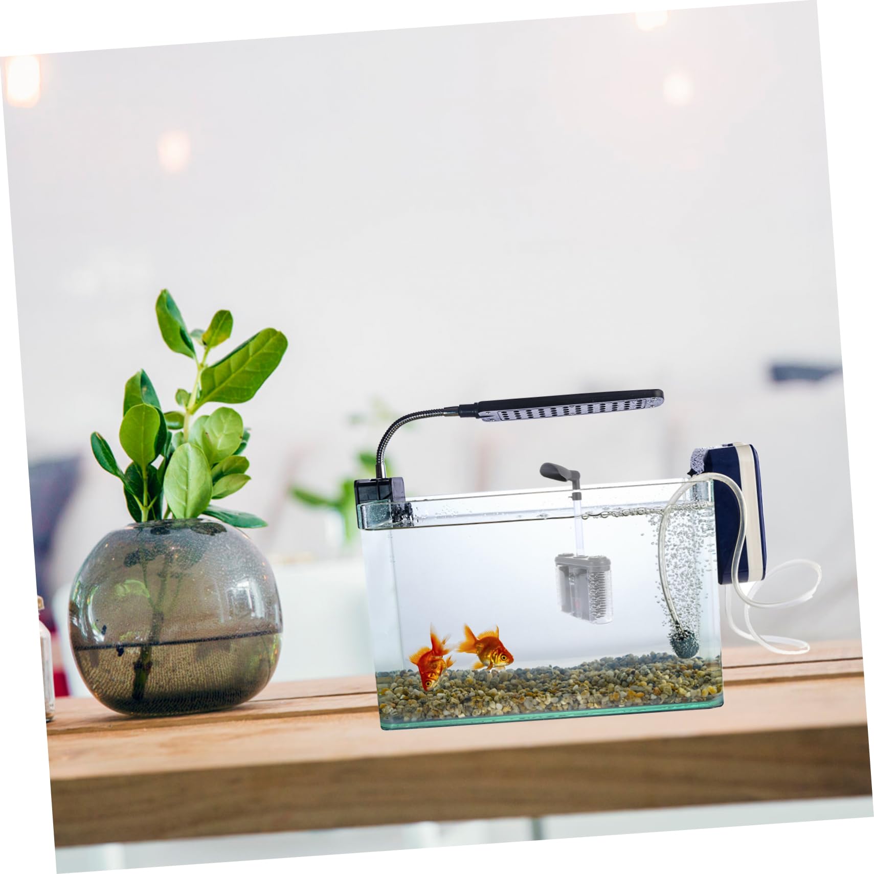 Toddmomy Depuradora Acuario Oxigenador Accesorios Prácticos Limpiador De Peceras Filtro Multifunción Cambio De Agua