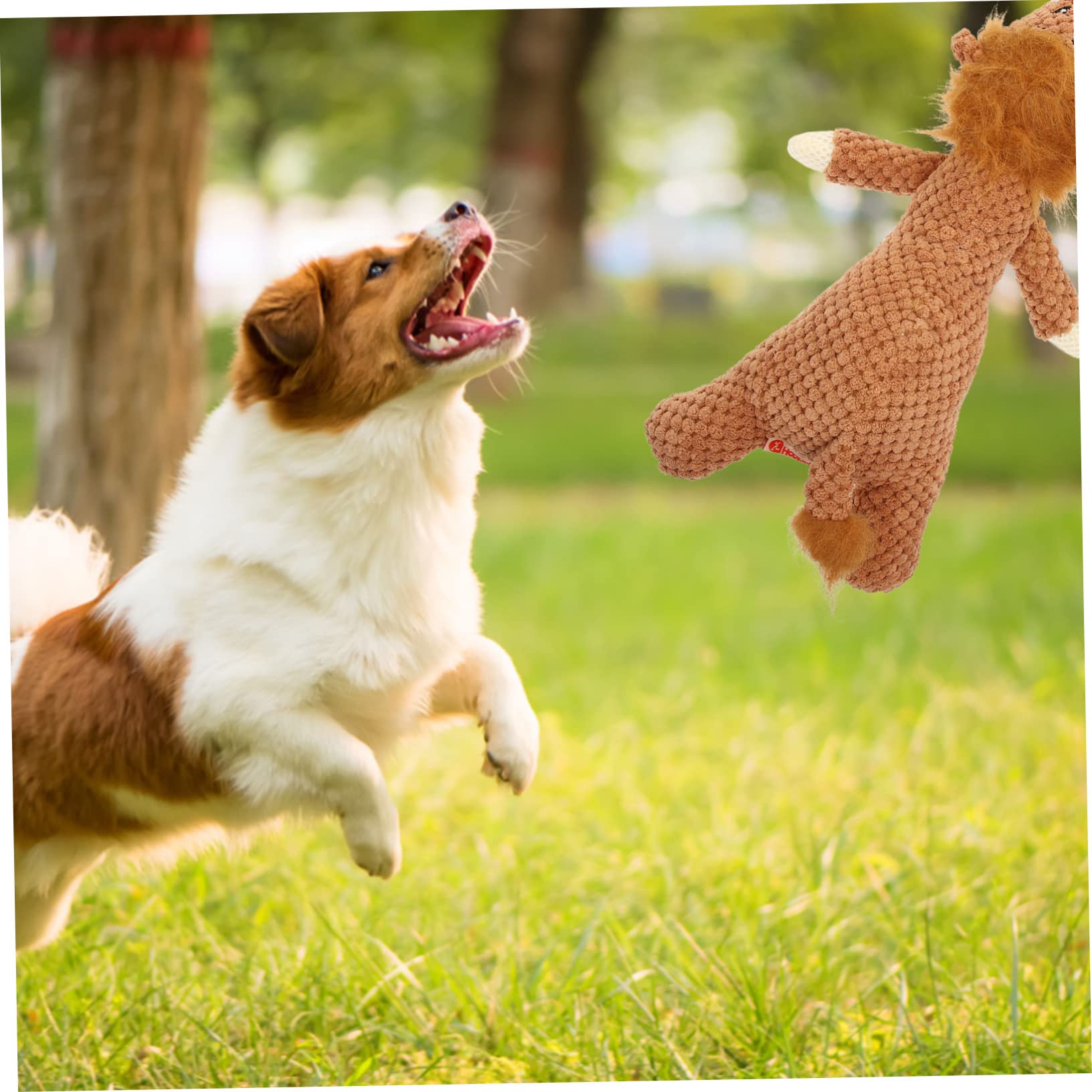 Toddmomy 3 Piezas Accesorio Cachorro Dog Toys Juguete Juguete para Mascotas Peluche Juguetes Juguete para Cachorros Resistente a mordeduras Juguete para Masticar doméstico vocalizar