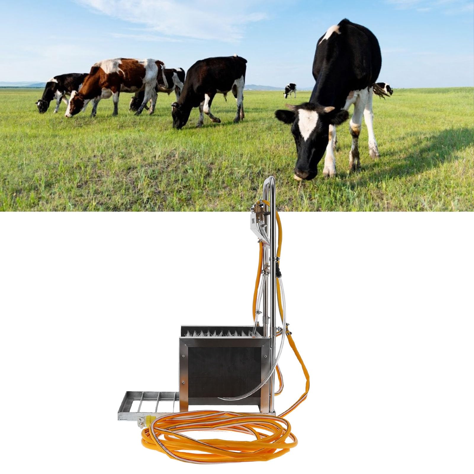 Pulitore Automatico per Stivali in Acciaio Inossidabile con Alta Efficienza per Allevamenti di Bestiame 28 Cm X 54 Cm