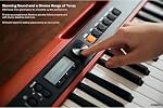 Casio Casiotone CT-S200 – 61-Key Portable Keyboard for Beginners | 400 Tones, 77 Rhythms, LCD Display, Dance Music Mode, USB-MIDI, Stereo Speakers | Includes Power Supply & Music Rest | Red | 61 Full-Size Keys, 48-Note Polyphony, 400 Tones, 77 Rhythm