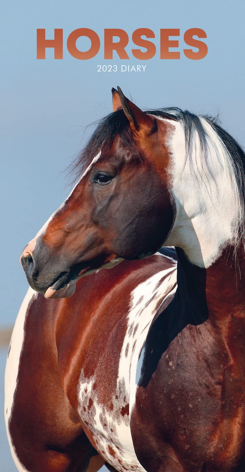 Horses Slim Diary 2023 Amazon.co.uk Stationery & Office Supplies