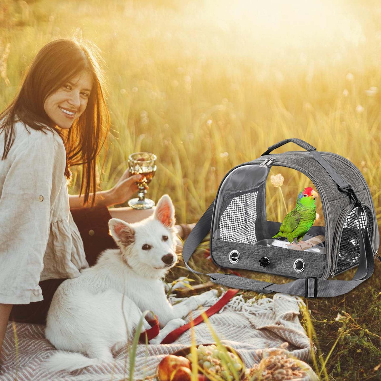Borsa per il trasporto per uccelli con asta in acciaio inox, per pappagalli, pappagalli, piccoli animali, per viaggi, escursioni, campeggio, pieghevole a 180°