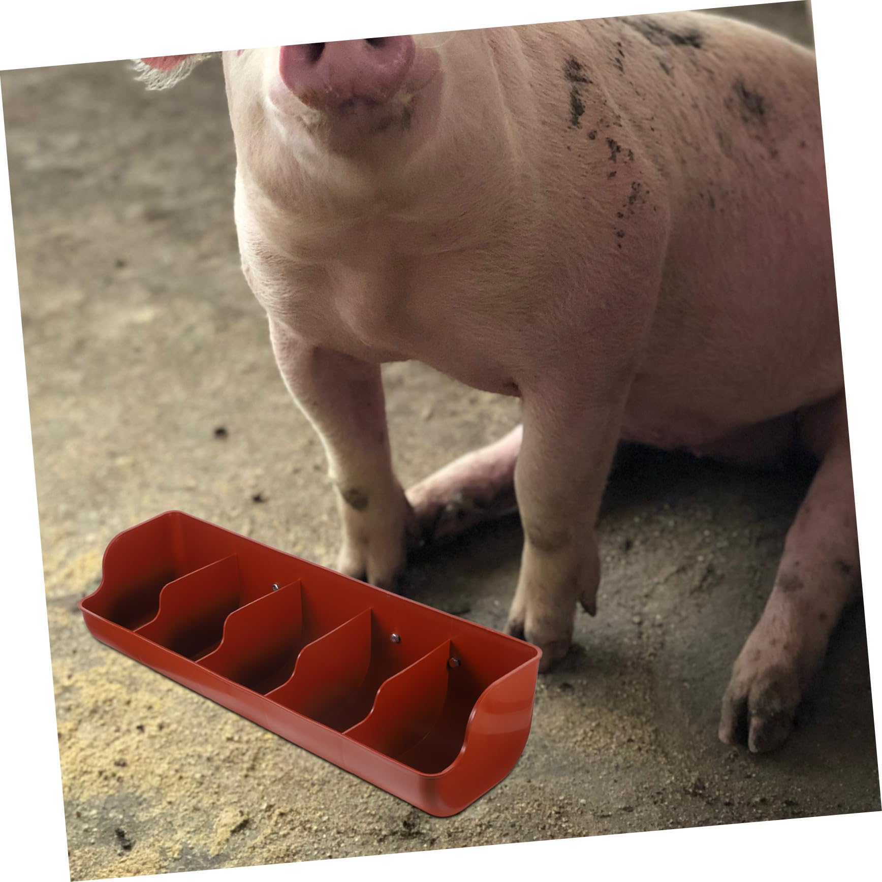 VICASKY Hängende Futterkrippe aus Verdicktem Pp Kunststoff mit 5 Fächern für Schweine und Nutztiere dem Bauernhof Große Kapazität und Hohe Verschleißfestigkeit