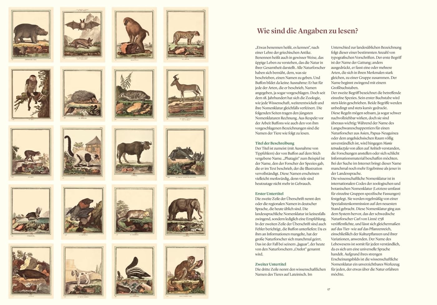 Naturgeschichten: Buffons spektakuläre Enzyklopädie der Tiere