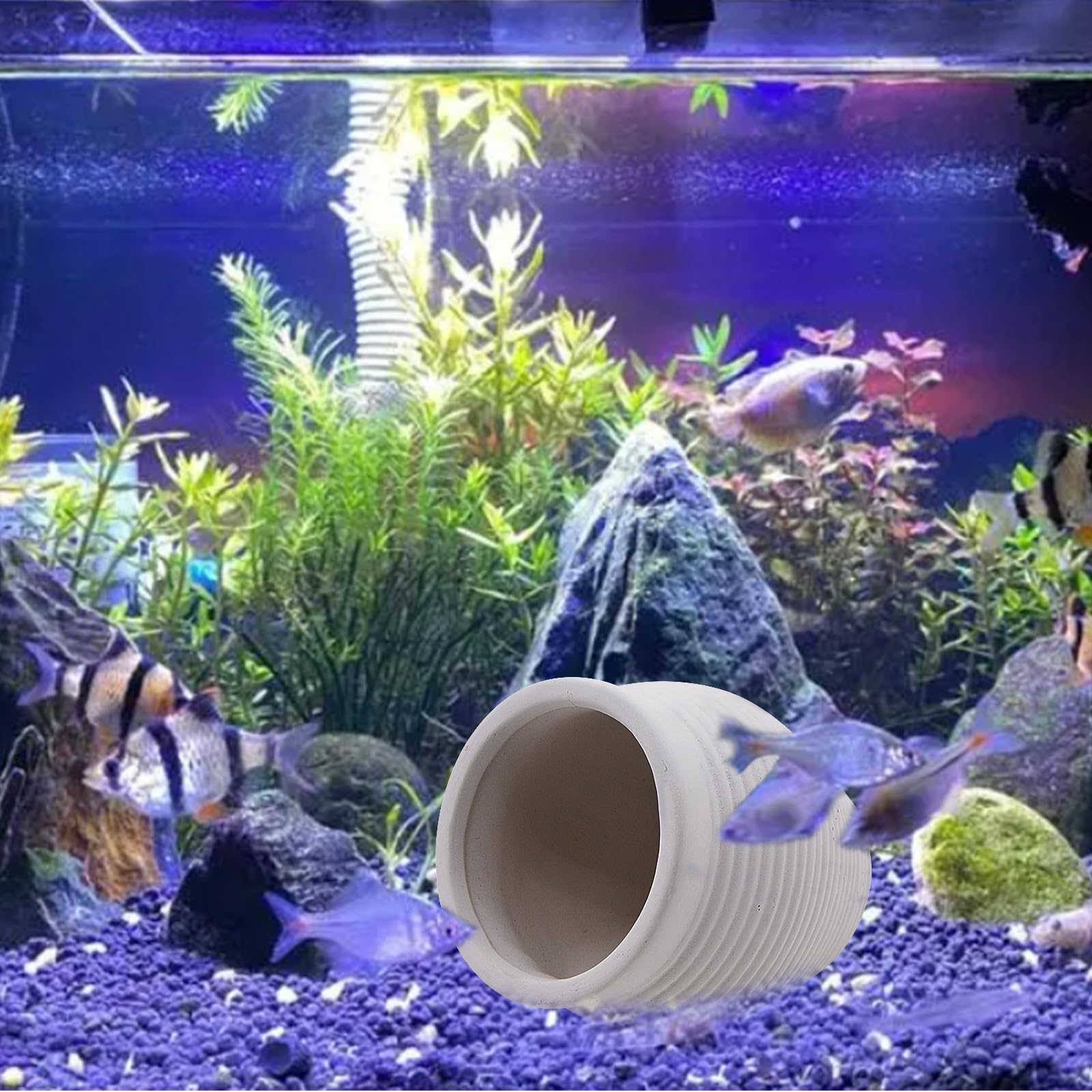 fish pot accessories AnRui Ceramic Jar Betta Tank Decor Clay Aquarium Hideout Cave Decorations Ornaments for Small Fish, Shrimp, Cichlid to Play Hide Breed, Small White : Pet Supplies size:1 1/2oz Abu Garcia Best Oil Bow Graph Mount and does not require