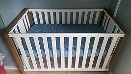 Review Image by Allicia Scholes Allicia Scholes