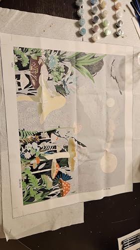 Review Image by Amazon Customer
