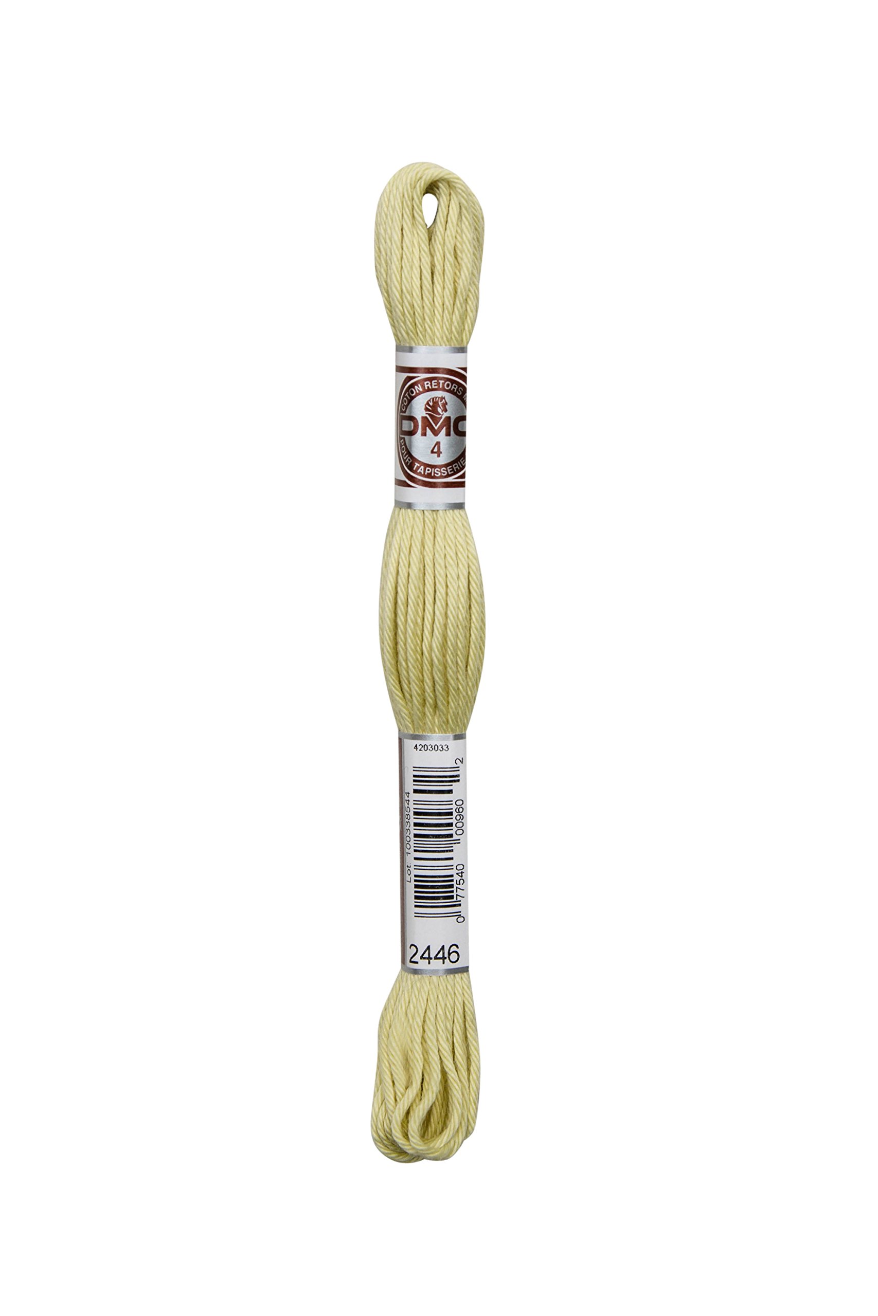 DMC Soft Cotton Thread - Shade 2446 - Pale Yellow/Green