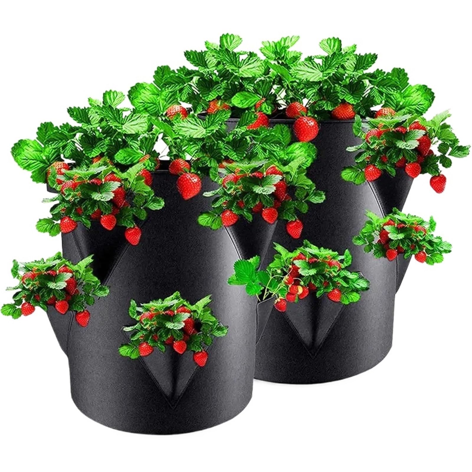 EYRMQWJPC Fabric Plant Growing Bags, 3-Pack Non-Woven Fabric Strawberry Grow Bags 5/7/10 Gallons(10 gallons)