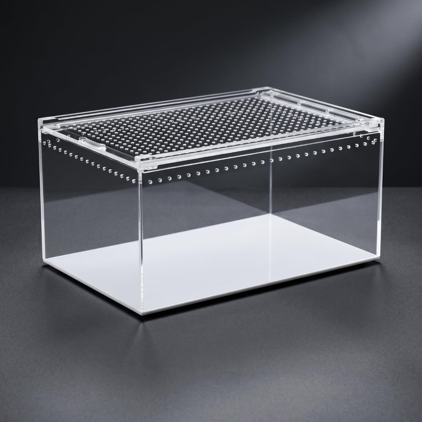 Terrario in Acrilico per Rettili Piccoli Animali Trasparente con Aerazione Continua Coperchio Comodo Adatto a Allevamento Domestico Scrivania Scaffale Tavolino, 30 20 15