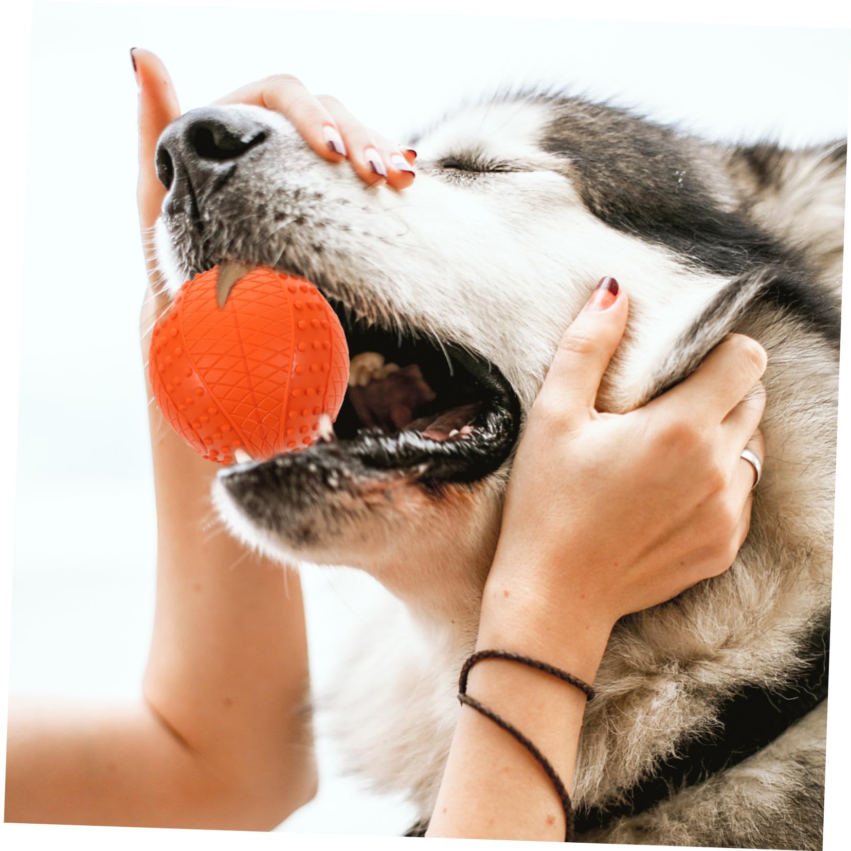 DECHOUS 4stücke Gummiball für Hund Welpenball zum Werfen und Apportieren Hundebälle als Kauspielzeug und Trainingsspielzeug Kleine Bälle für Hunde zum Spielen und Kaufen