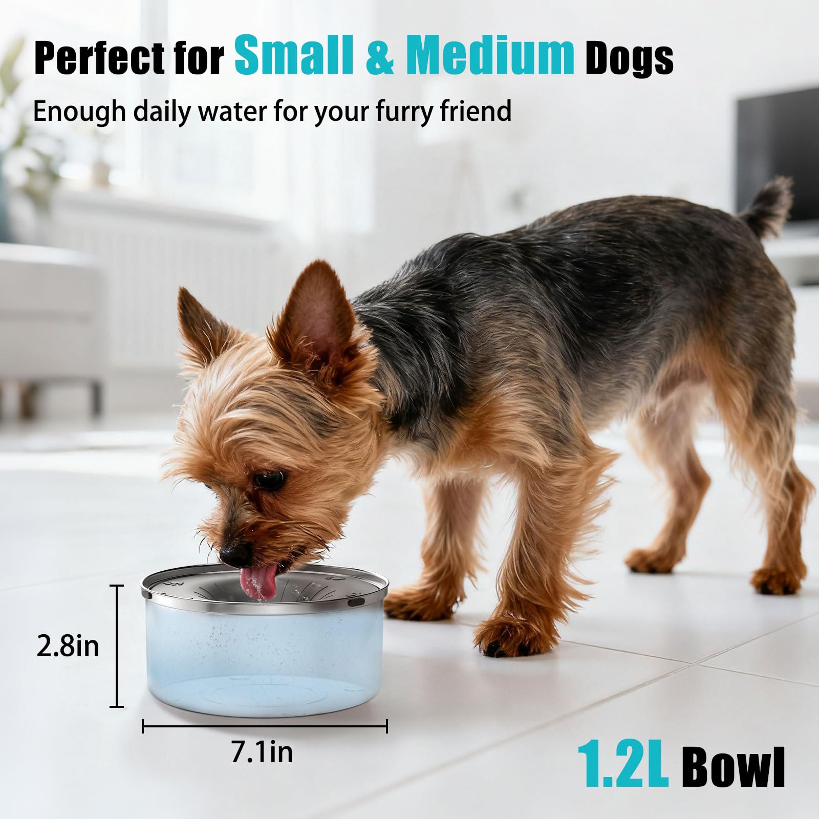 Ciotola per Acqua per Cani Senza Fuoriuscita, 1,2L Ciotola per Cani con Beverino Lento, Senza Sgoccioli, Anti-Soffocamento, Ciotole per Animali Domestici in Acciaio Inox per Cani Piccoli e
