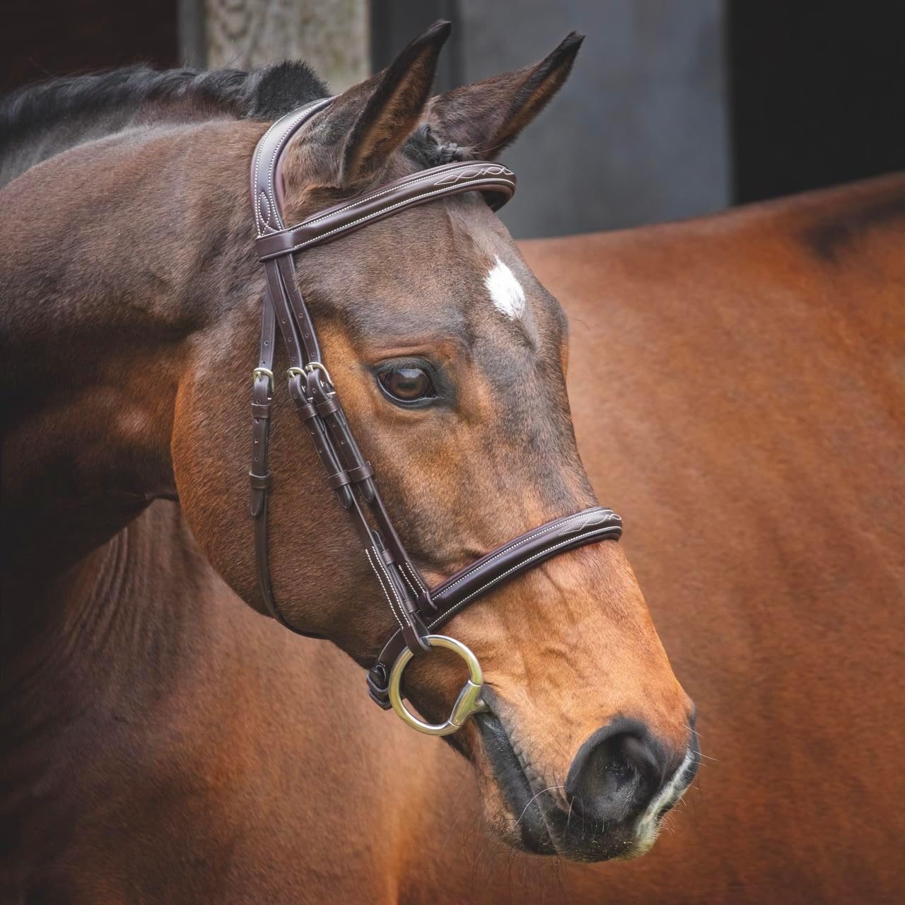 Shires LUSSO Hunter Cavesson Bridle