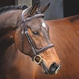 Shires LUSSO Hunter Cavesson Bridle (Cob)