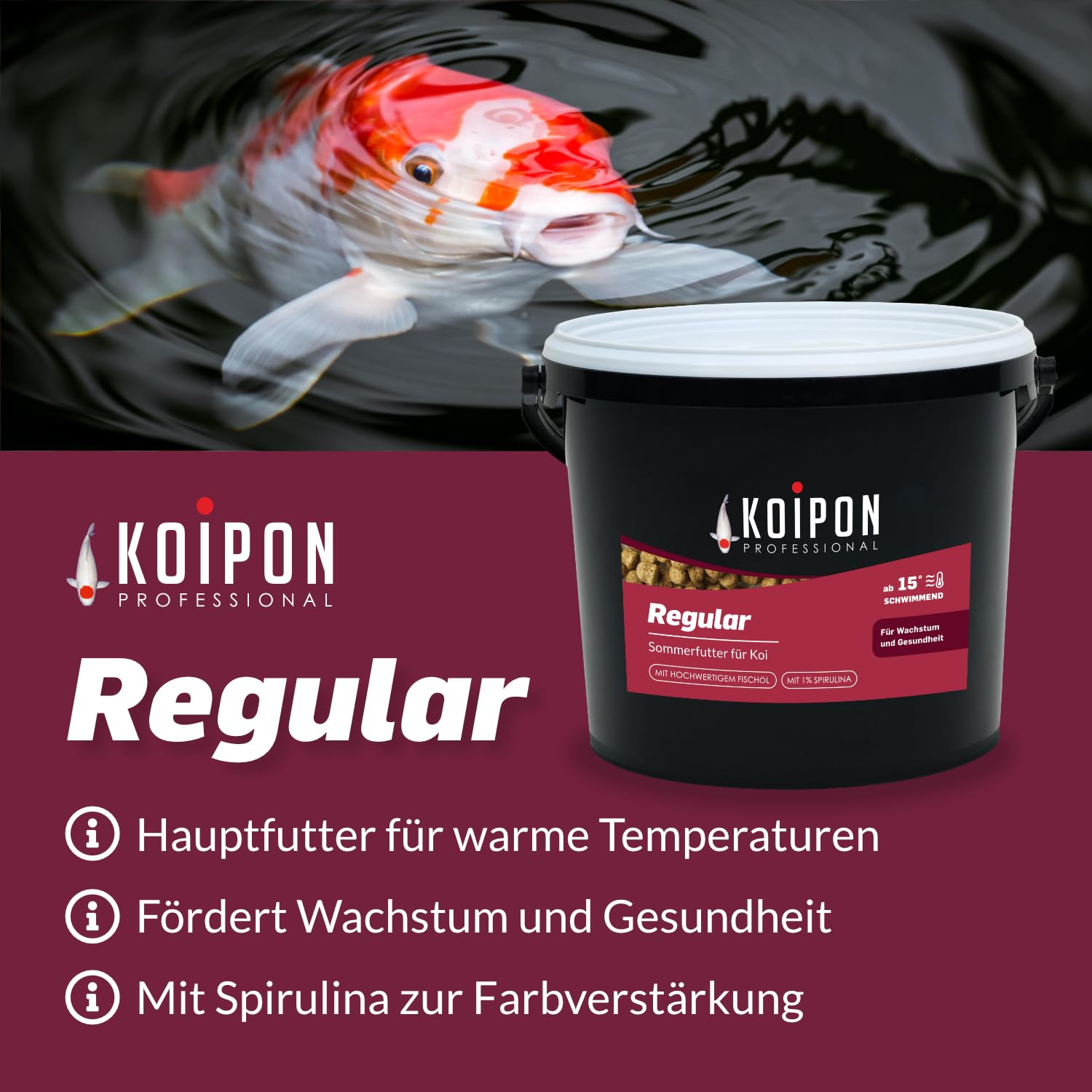 KOIPON Regular 3,5 kg Koifutter Sommer, schwimmend, 1% Spirulina, Teichfutter 6 mm Pellets, Koifutter als Goldfischfutter geeignet