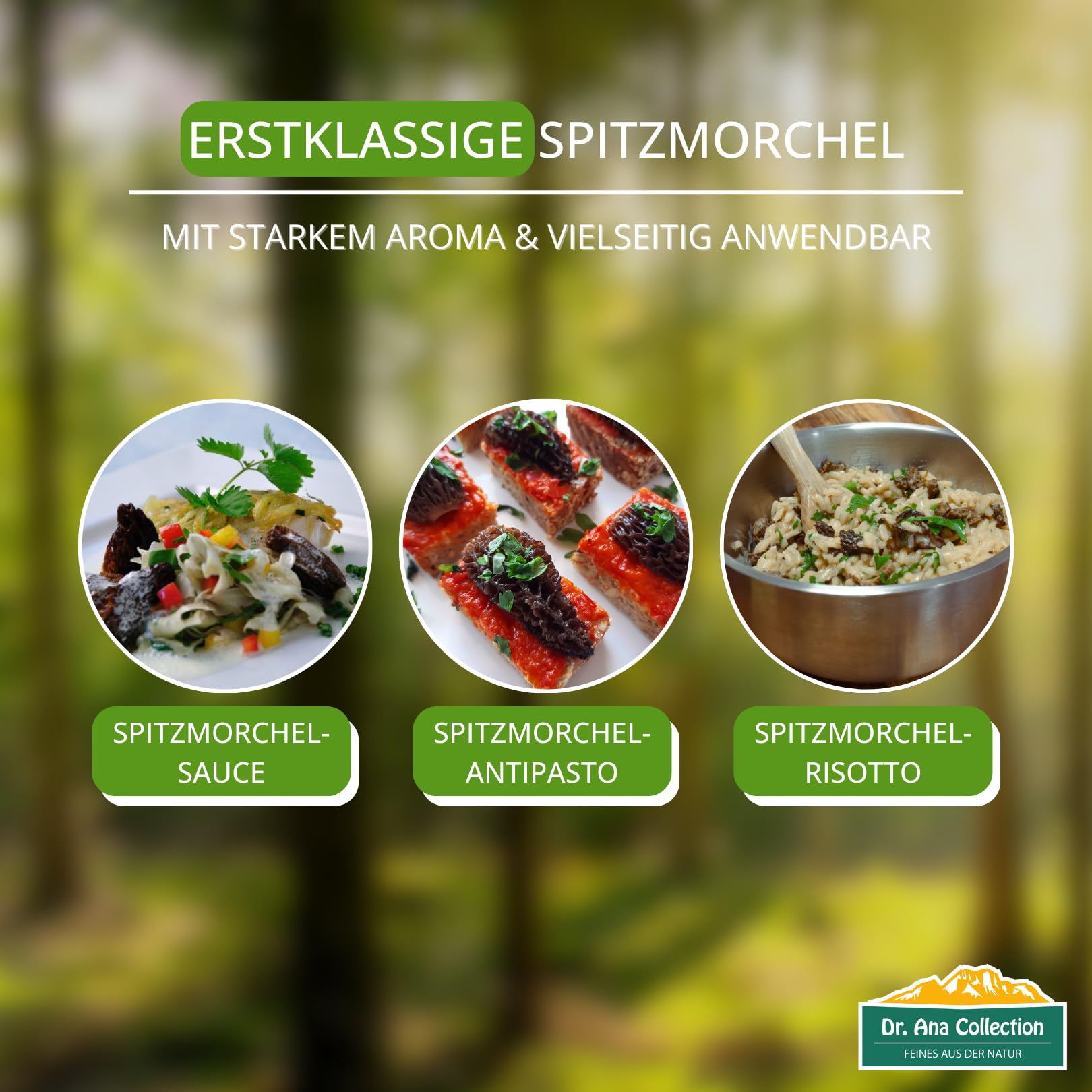 Dr. Ana Collection - getrocknete Spitzmorcheln ganze Köpfe (50g) | ohne Zusatzstoffe - 100% naturbelassen | aus europäischer Wildsammlung | Spitzenqualität