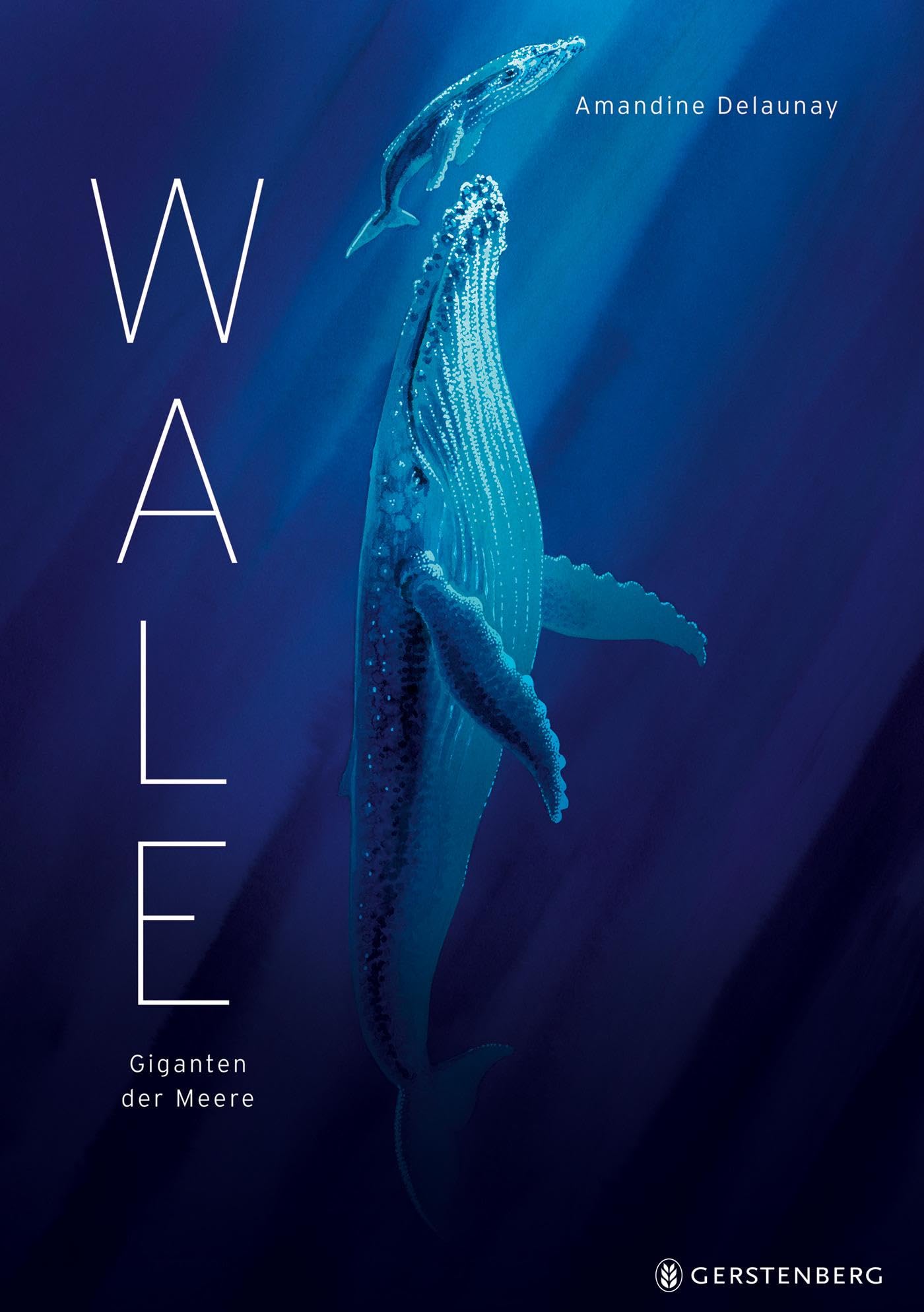 Wale: Giganten der Meere