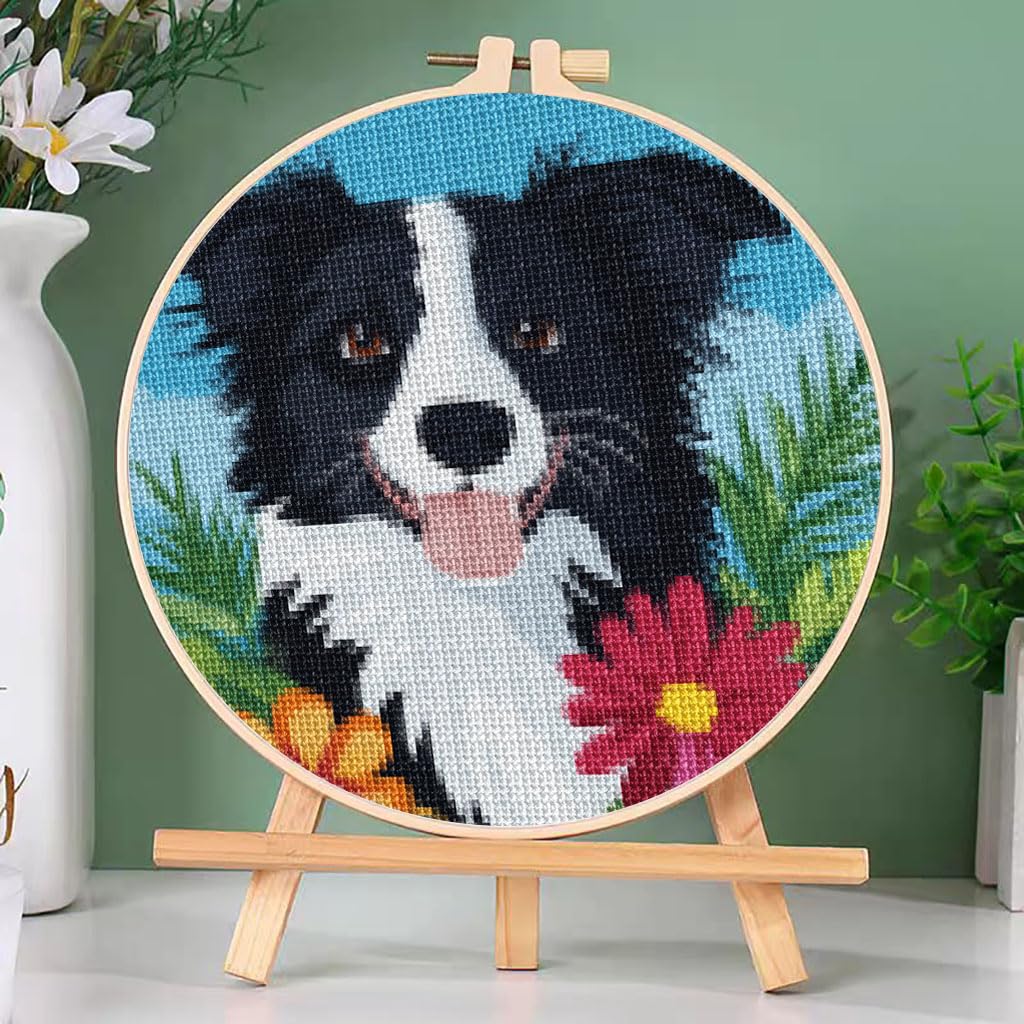 Amazon.com: DIY Counted Cross Stitch Kits Border Collie Dog