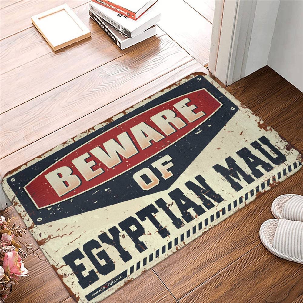 Tapis de bienvenue en hiver 65x90 cm pour une entrée chaleureuse