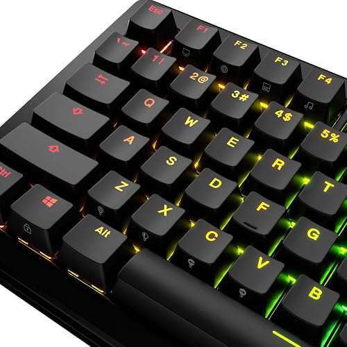 GLORIOUS ABS Doubleshot V2 Keycaps OEM Profile (Black) - 6