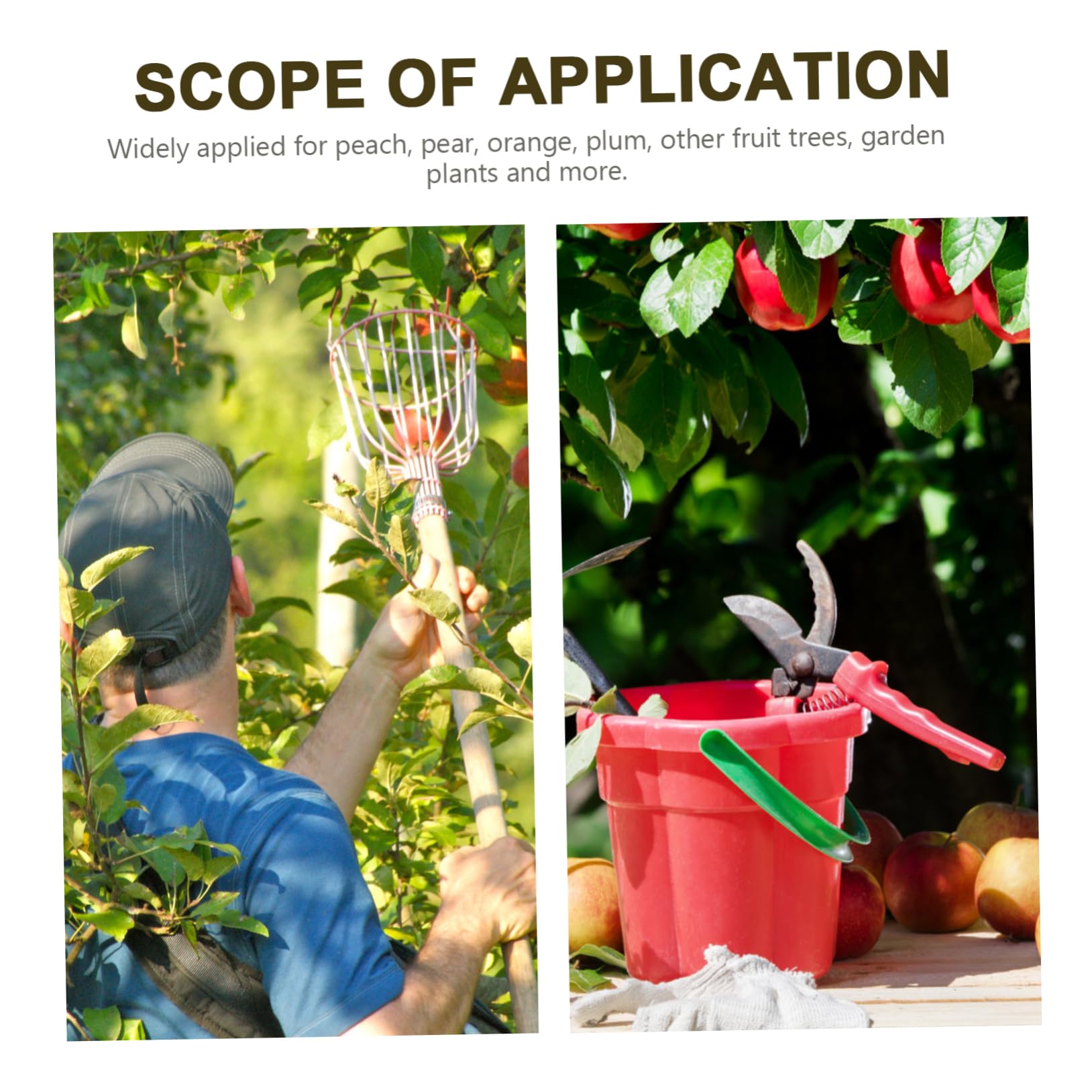 Kit De 6 Supports De Branches Pour Arbres Fruitiers - En Aluminium - Redressement Et Soutien Des Jeunes Arbres