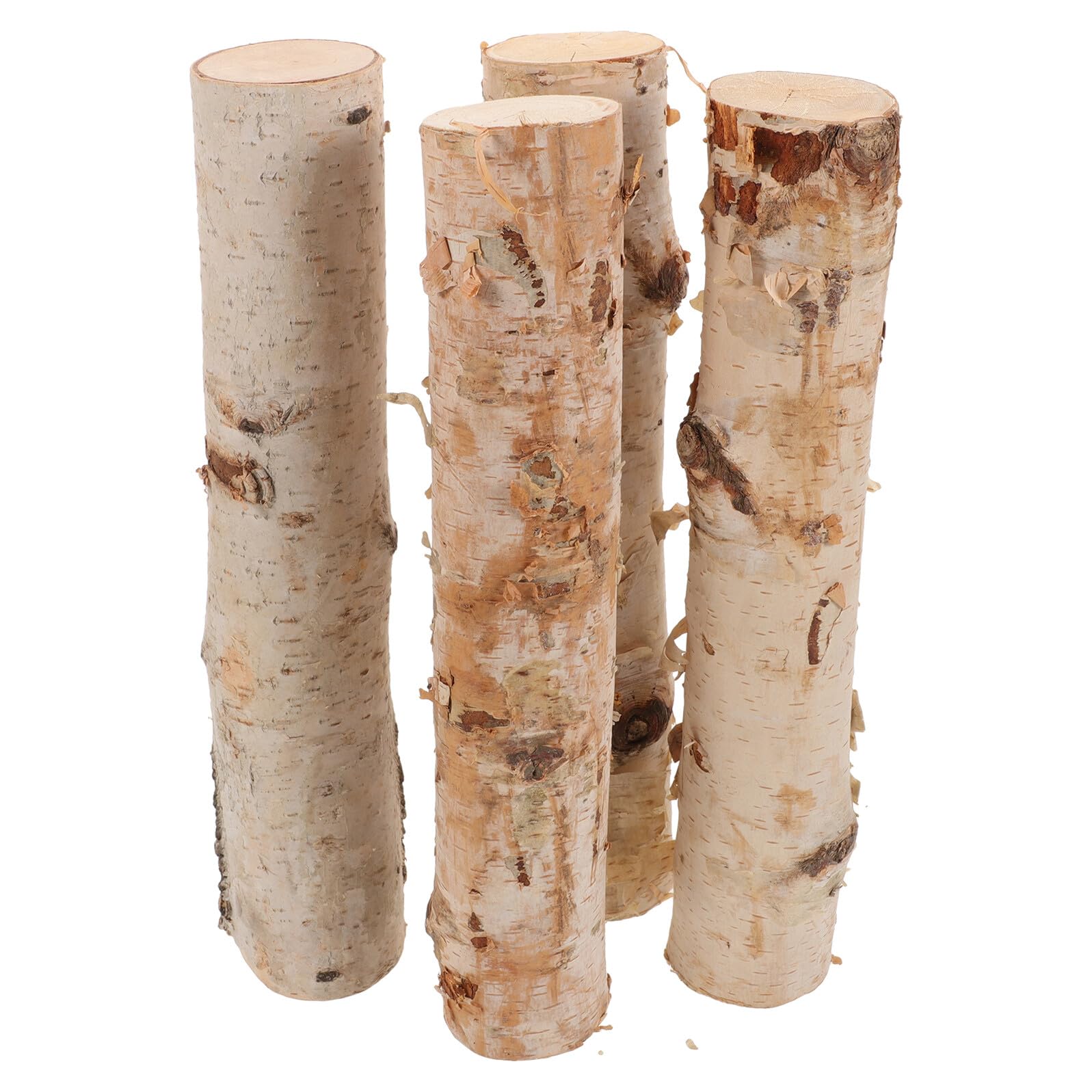 Bûches Décoratives en Bouleau, Lot de 4 Pièces pour Décoration