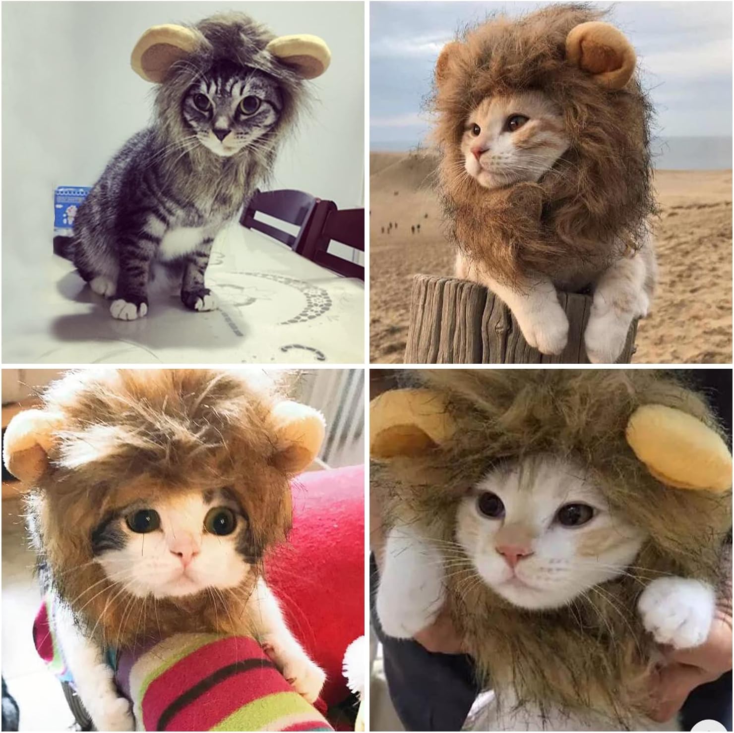 市場 猫 着脱簡単 写真撮り 可愛い 猫服 かわいい 耳付き ペット用品 柔らかい かぶりもの 散歩 帽子 食事 小型犬