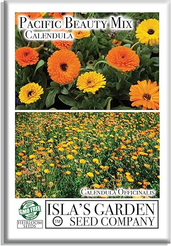 Semillas de flores de caléndula "Dwarf Pacific Beauty Mix" para plantar, más de 250 semillas por paquete, semillas de jardín de Isla (semillas de