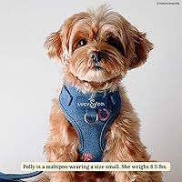 Vista 74 de Lucy & Co. Arnés para perro Midnight No-Pull – Talla M – Chaleco para dejar de tirar y caminar fácil – Cómodo producto de entrenamiento de correa