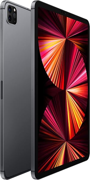 2021 Apple iPad Pro (11-pulgadas, Wi-Fi + Celular, 256GB) Gris Espacial (Reacondicionado) - 2