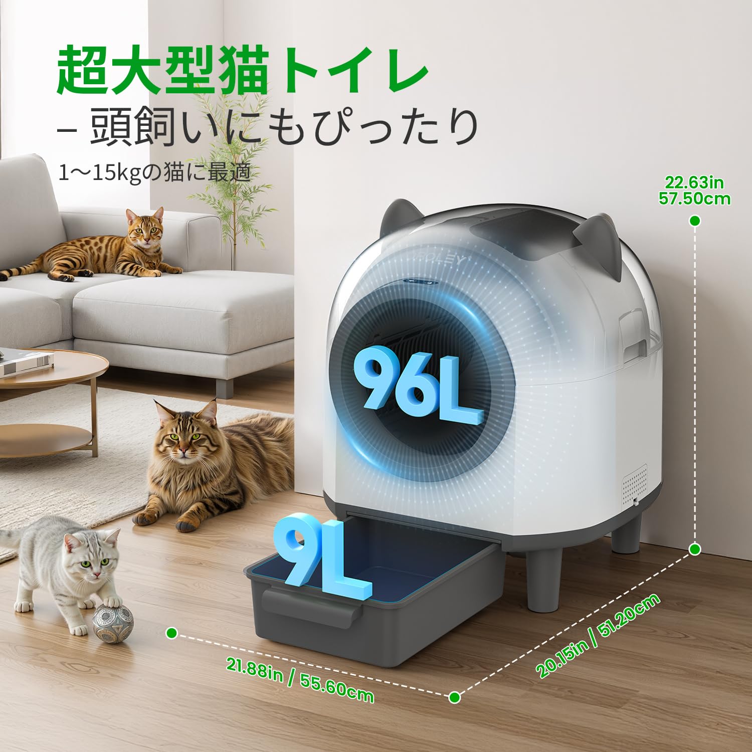 【早い者勝ち】OROLEY 猫 自動トイレ ホワイトモデル017 Amazon | OROLEY 猫 自動トイレ 猫 トイレ 自動 猫トイレ 自動 自動