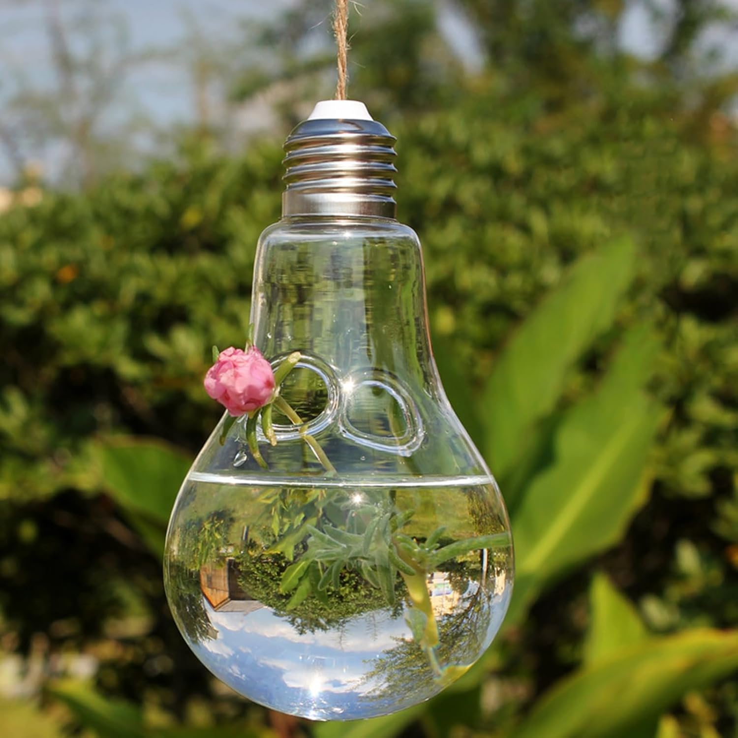 GANAZONO 6 Pcs Light Bulb Shaped Glass Hanging Vases Hydroponic Planters for Home Decor Desktop Air Plant Propagation Garden Centerpieces