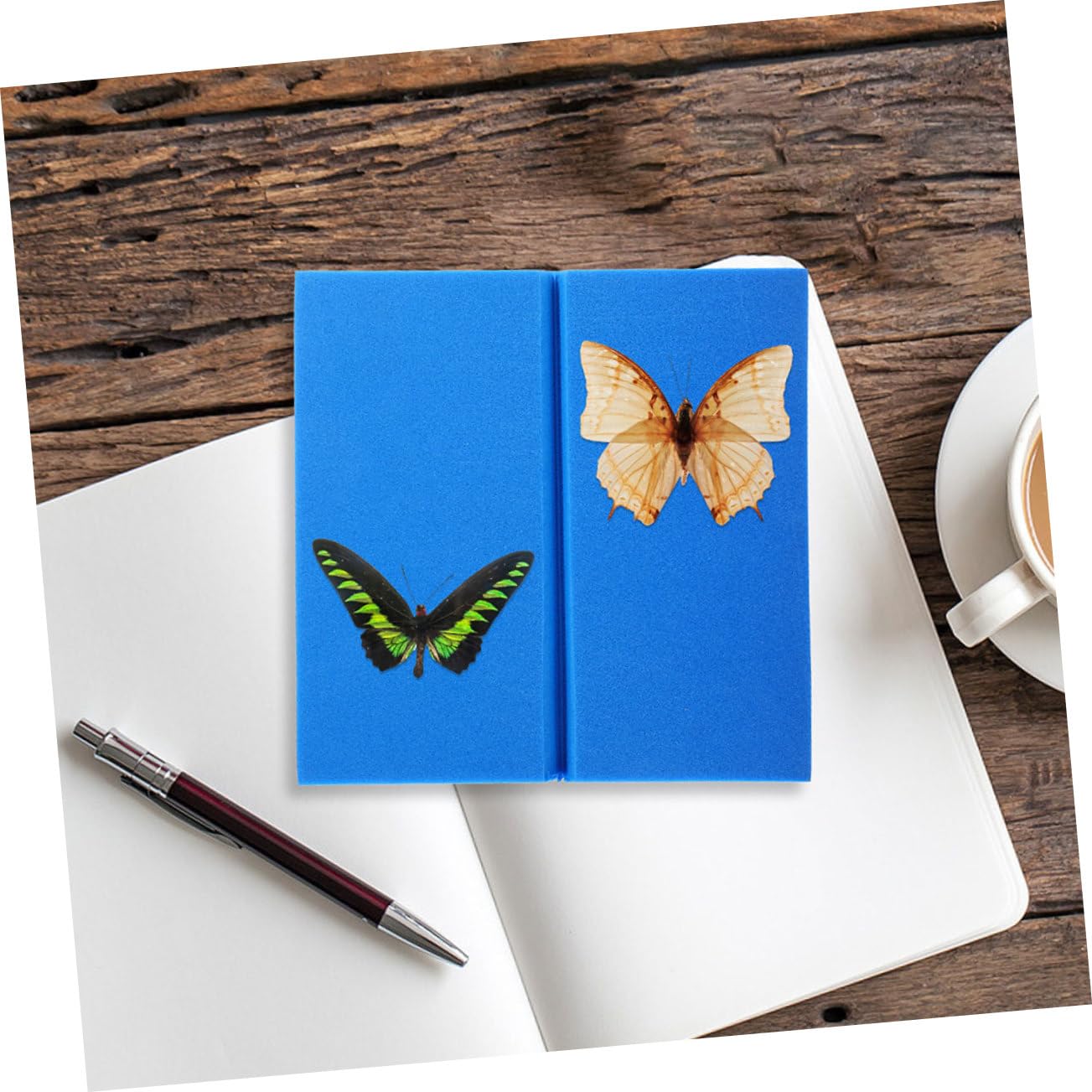 Cabilock 2pcs Eva Foam Insect Specimen Board for Butterfly Display Lightweight Pinning Tool for Classroom and Collection Use High-Density Spreading Board