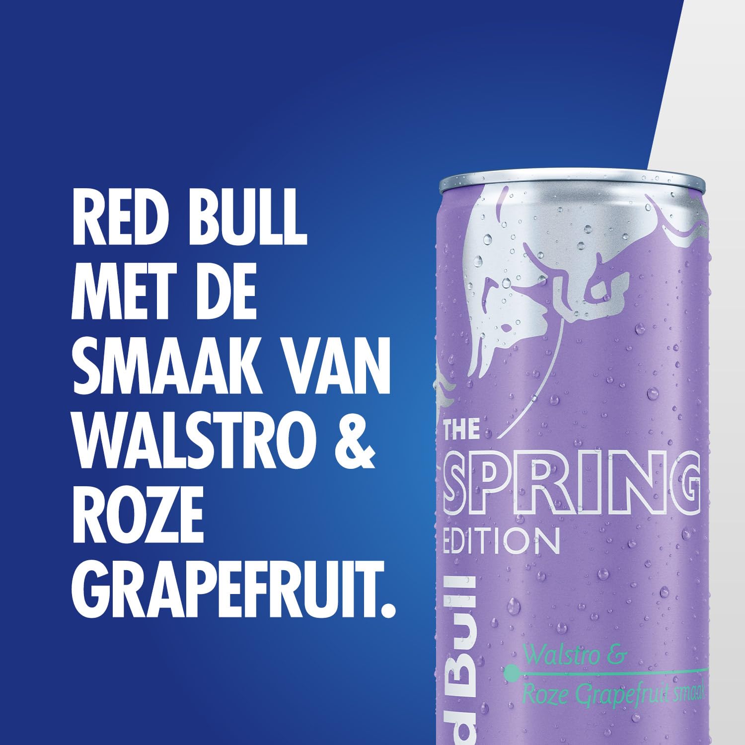 Red Bull - The Spring Edition Walstro en Roze Grapefruit - sleekcan - 12x25 cl - NL