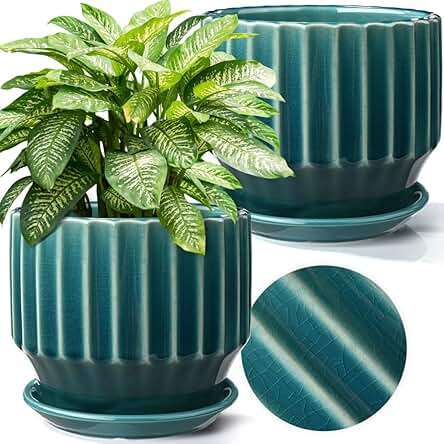 AISBUGUR Plant Pots 6 inch Ceramic for Indoor...