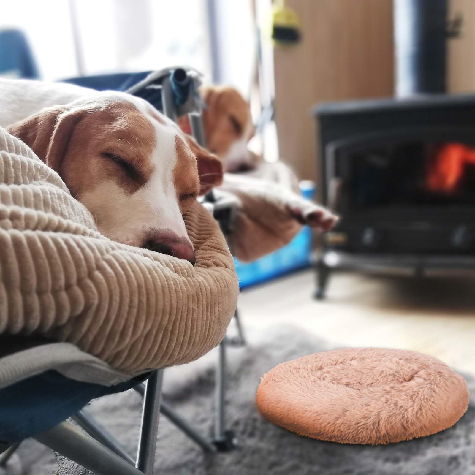 QUARKZMAN Cama para Gatos Y Perros, Cama Redonda Y Suave De Peluche Donut Antiansiedad para Mascotas 80cm / 31.3 Pulgadas, (Gris), Diseñada para Animales Pequeños Y Medianos Perros/Gatos