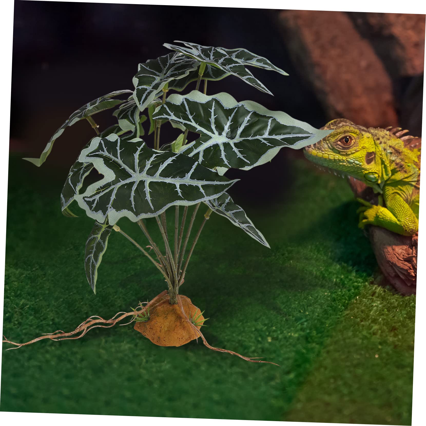 Angoily 4piezas Plantas Artificiales De Simulación para Reptiles y Acuarios Decoraciones De Terrario Base Estable De Adornos Naturales para Peceras y Terrarios