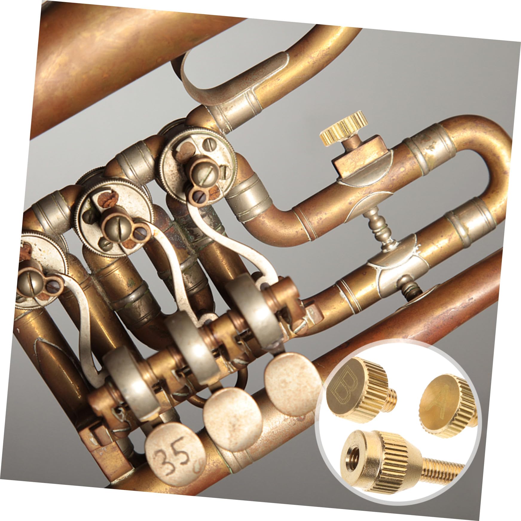 HEMOTON 5 Set Vite Di Ricambio Per Il Collo Del Sax Vite Professionale Per Il Collo Del Sassofono Sostituzione Della Del Sax Accessorio Per Strumenti Musicali Metallo Golden