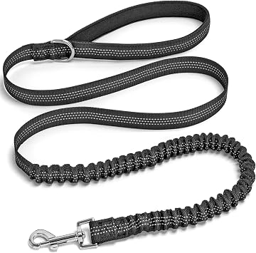 Bungee Dog Leash- 5FT Shock Absorbing & Reflective Nylon Leash| Anti-Pull Training for Small/Medium Dogs | 2cm Wide, 6 Colors Black
