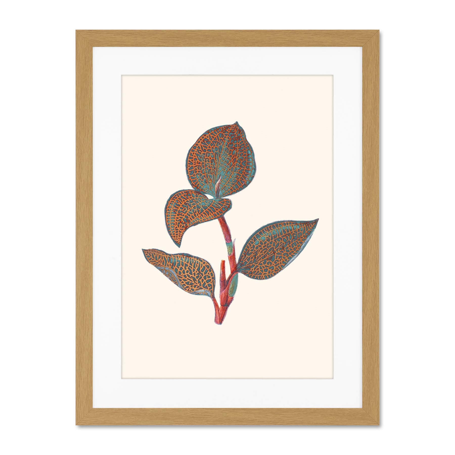 Wee Blue Coo Primary Coloured Exotic Flora Large Light Oak Framed Art Print Wall Poster 18x24 inch