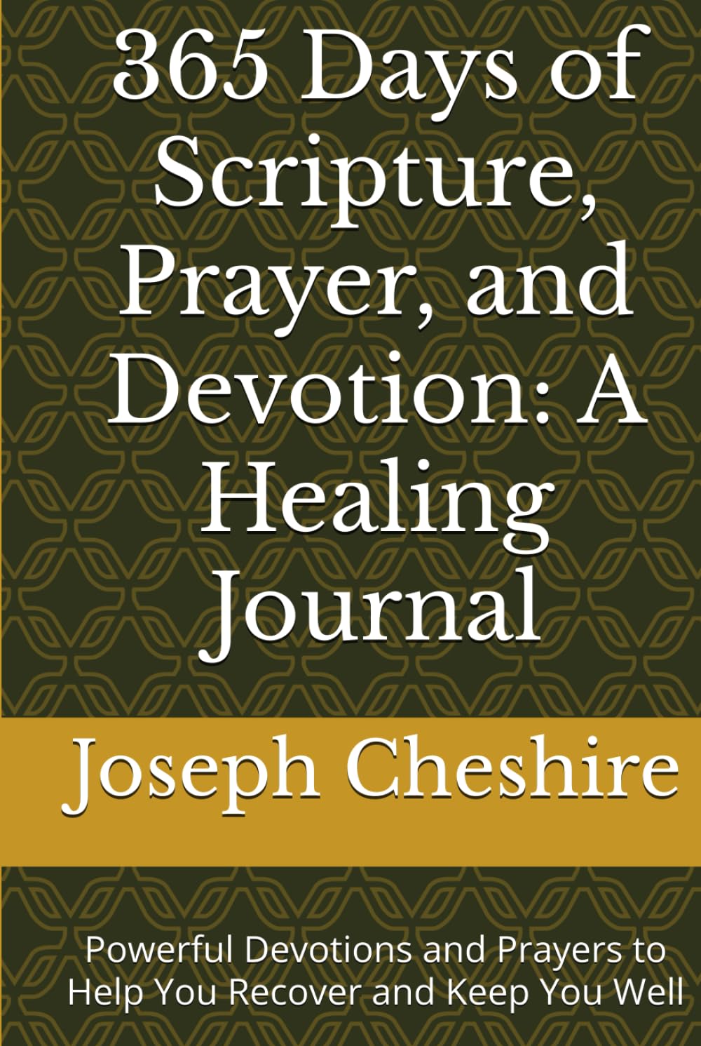 365 Days of Scripture, Prayer, and Devotion: A Healing Journal: Powerful Devotions and Prayers to Help You Recover and Keep You Well