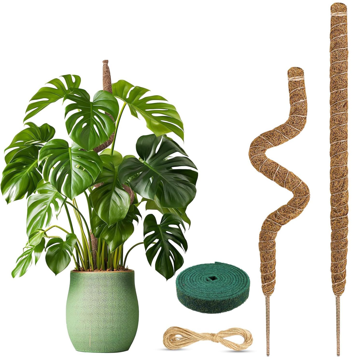 2 Stück Monstera Rankhilfe, Pflanzstab Kokos Moosstab, Biegsame Moosstäbe für Pflanzen, Monstera Stab mit Zubehör, Moosstab-Set für Kletterpflanzen Pflanzenstütze (60cm)