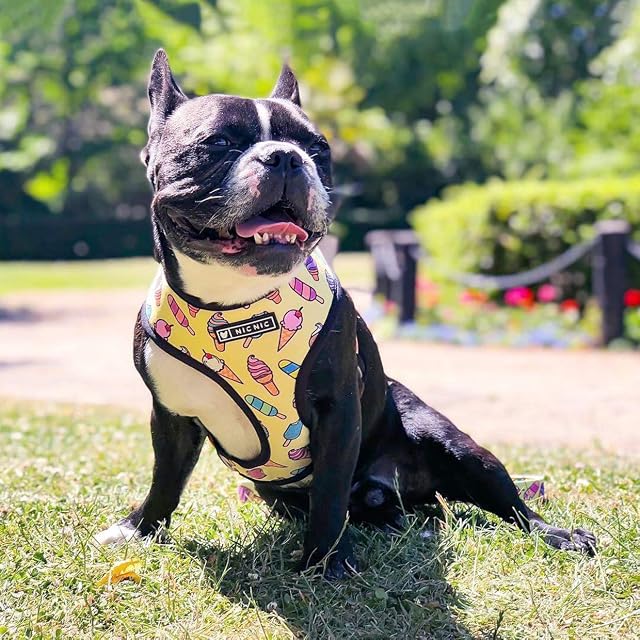 Foto 2 de 8 de 4 collares de perro estilo para perros pequeños y medianos, arnés ajustable para perro