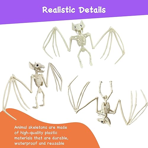 Miniatura 3 de Esqueleto de animal de Halloween, horrible esqueleto de murciélago de simulación, mordazas móviles de hueso de murciélago vívidos para decoración de