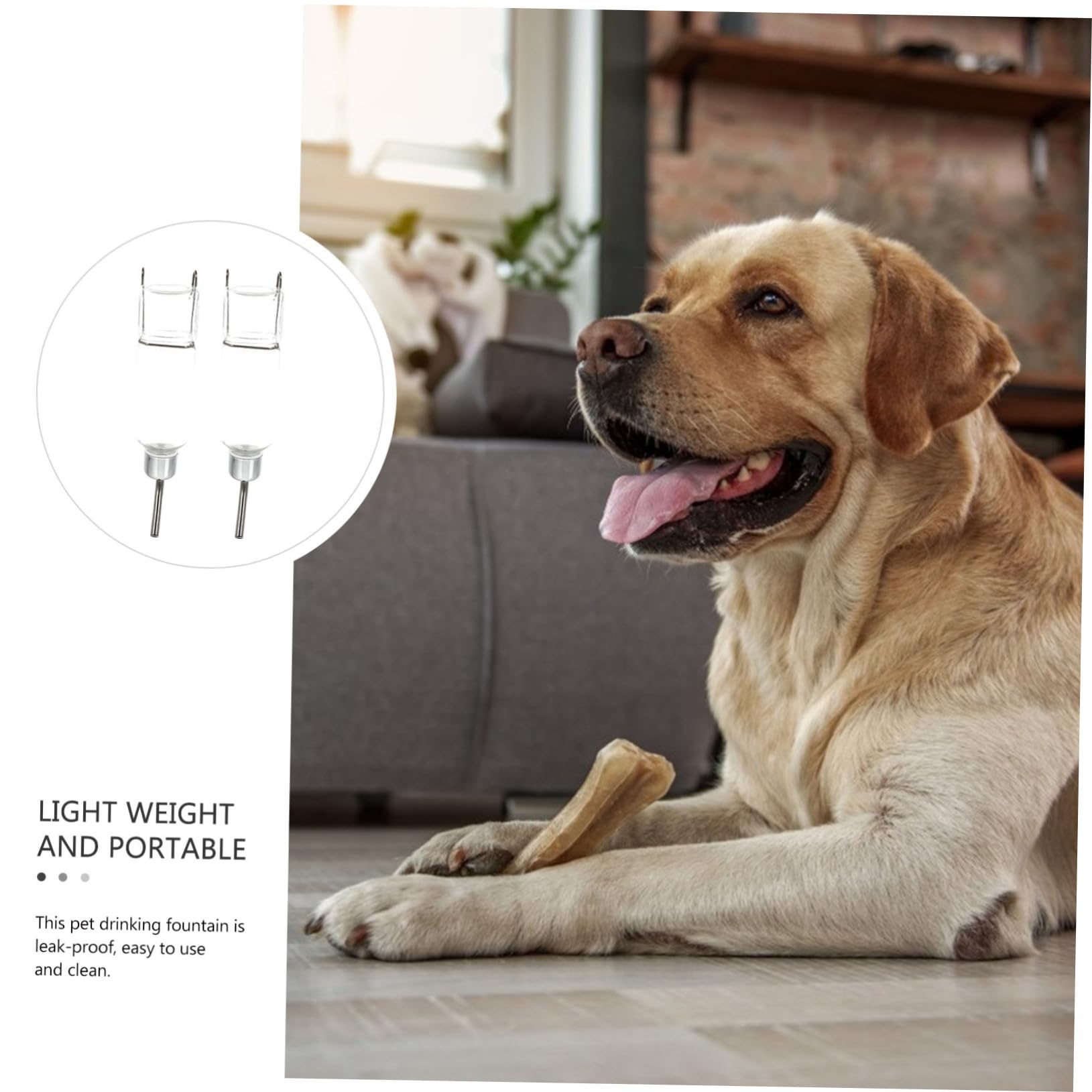 FOMIYES 4 Pz Fontanella Borraccia per cani da parete distributore d'acqua per animali domestici borraccia stich borraccia per animali domestici dispositivo per bere acqua lotta francese
