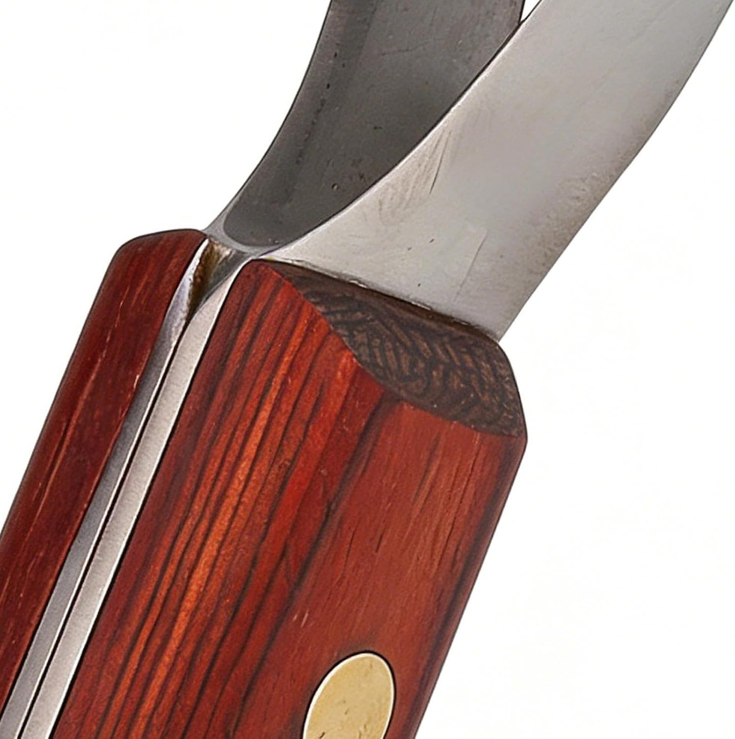 Horses Hoof Tool - with Wooden Handle Non-Slip Equine Supplies | Hoof Farrier Tool for Horse,for Bathing Grooming Dairy Barn Farm Ranch Veterinarian Equestrian