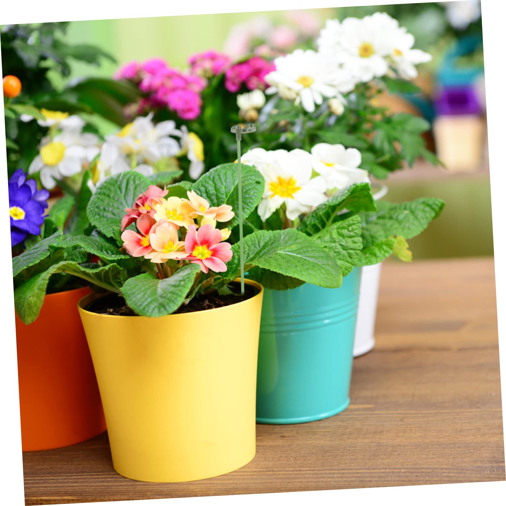 Toyvian 3 Sätze Pflanzenstützrahmen Pflanzenunterstützungseinsätze eingetopft Stützgestell für Kletterpflanzen Anlage Blumen- kleine Gartenpfähle Gartenpfahl Plastik Green