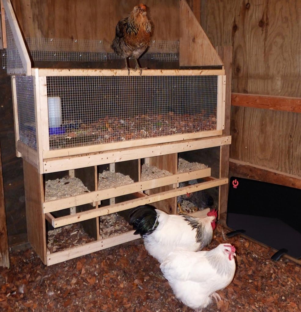 Keep Your Flock Warm: A Review of the Cozy Chickens Coop Radiant Heater