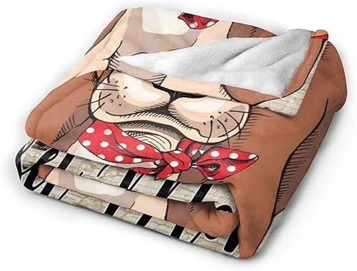 Miniatura 2 de Mantas cómodas de 60 x 50 pulgadas, mantas ultrasuaves y esponjosas para sofá y sala de estar, otoño, invierno y primavera, lindas mantas de regalo