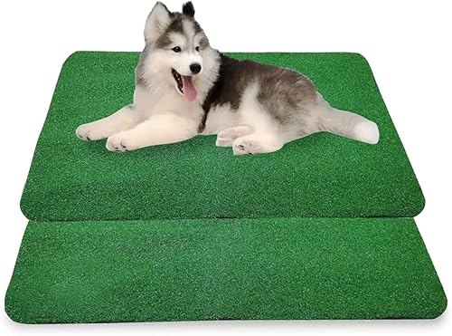 BNOSDM Hierba artificial para perros, 2 piezas de 15 x 23 pulgadas, alfombra de césped artificial para bandeja de orinal de perro, césped para